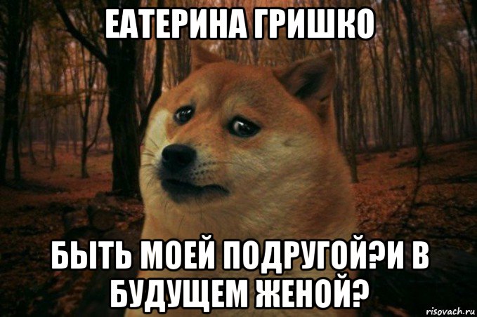 еатерина гришко быть моей подругой?и в будущем женой?, Мем SAD DOGE