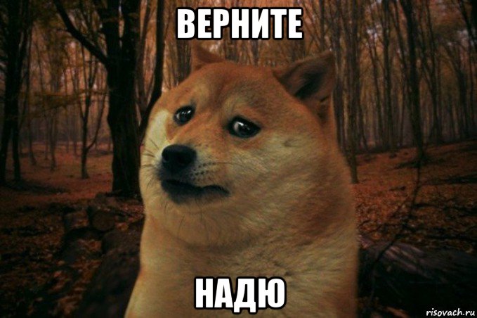 верните надю, Мем SAD DOGE