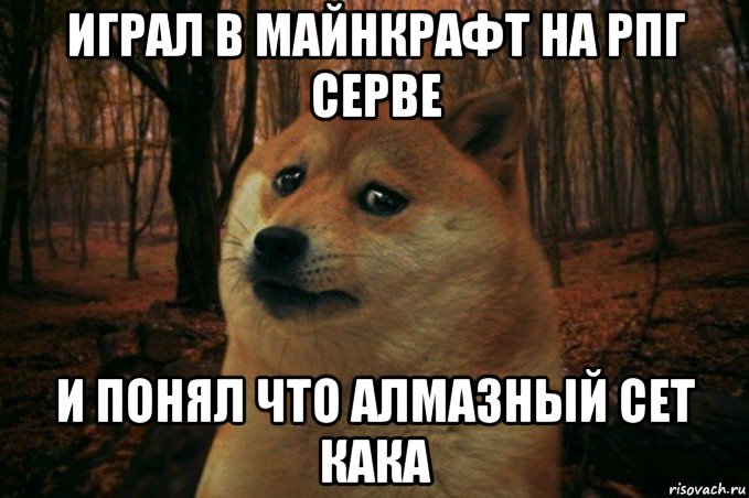 играл в майнкрафт на рпг серве и понял что алмазный сет кака, Мем SAD DOGE