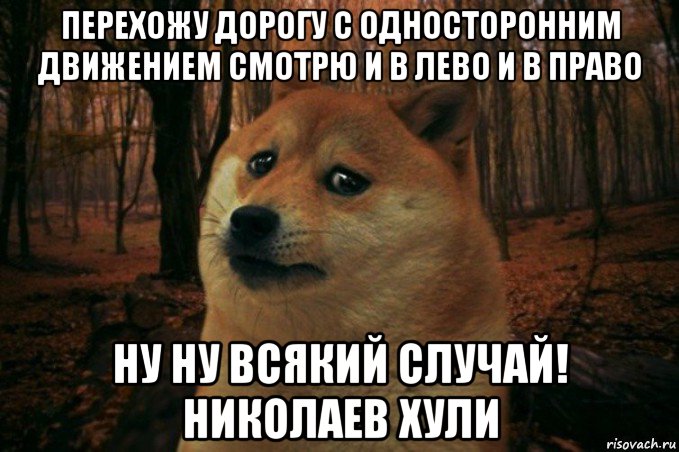 перехожу дорогу с односторонним движением смотрю и в лево и в право ну ну всякий случай! николаев хули, Мем SAD DOGE