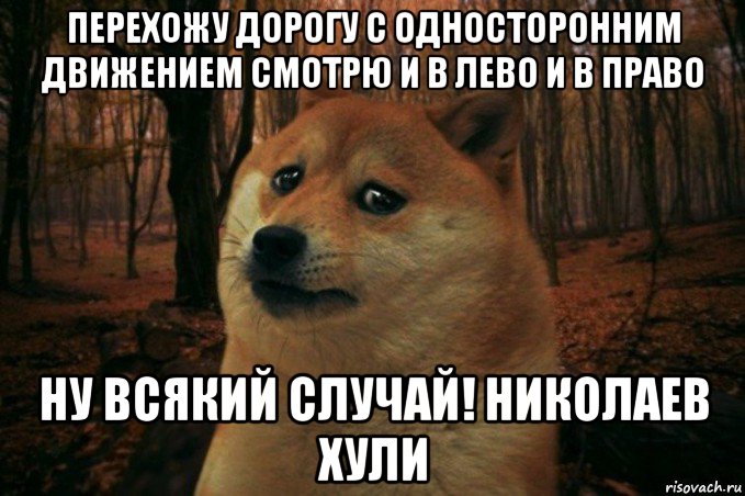 перехожу дорогу с односторонним движением смотрю и в лево и в право ну всякий случай! николаев хули, Мем SAD DOGE