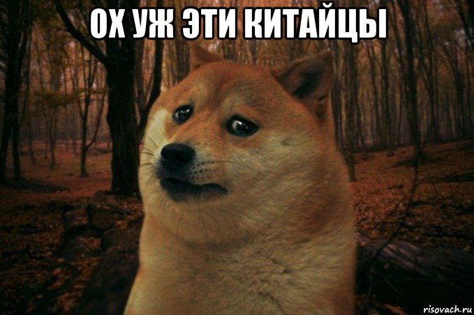 ох уж эти китайцы , Мем SAD DOGE