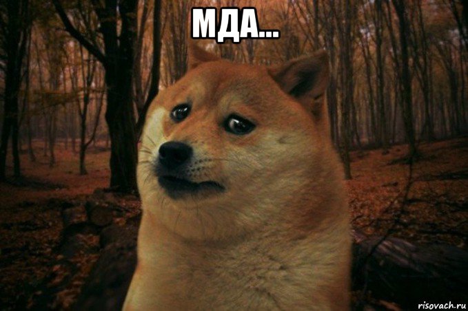 мда... , Мем SAD DOGE