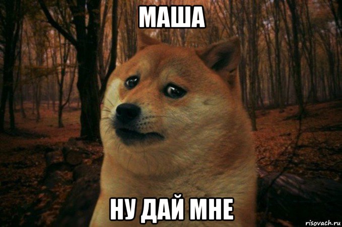 маша ну дай мне, Мем SAD DOGE