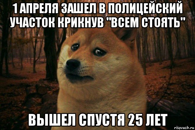 1 апреля зашел в полицейский участок крикнув "всем стоять" вышел спустя 25 лет, Мем SAD DOGE