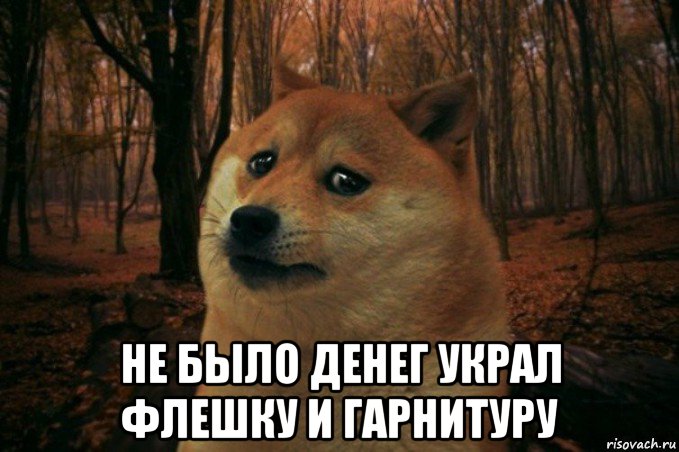  не было денег украл флешку и гарнитуру, Мем SAD DOGE