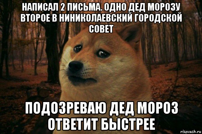 написал 2 письма. одно дед морозу второе в ниниколаевский городской совет подозреваю дед мороз ответит быстрее, Мем SAD DOGE