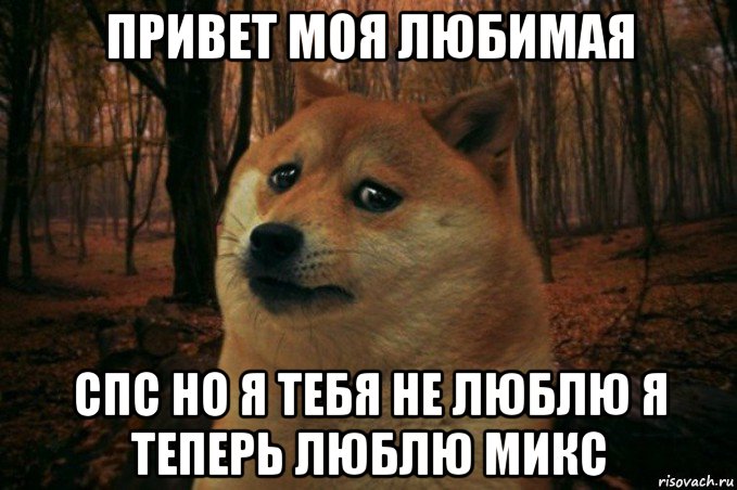 привет моя любимая спс но я тебя не люблю я теперь люблю микс, Мем SAD DOGE