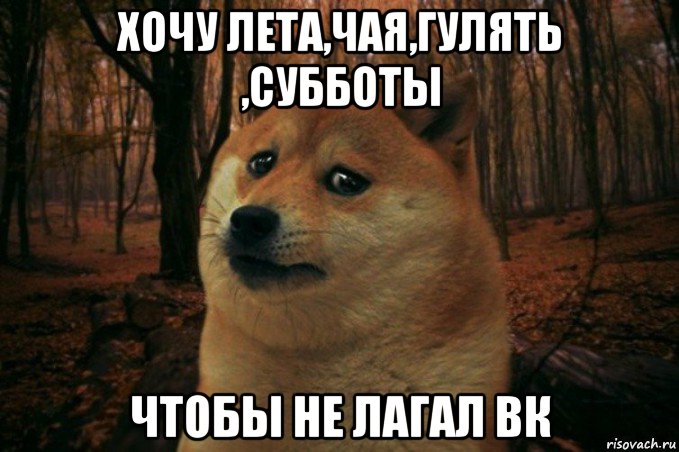 хочу лета,чая,гулять ,субботы чтобы не лагал вк, Мем SAD DOGE