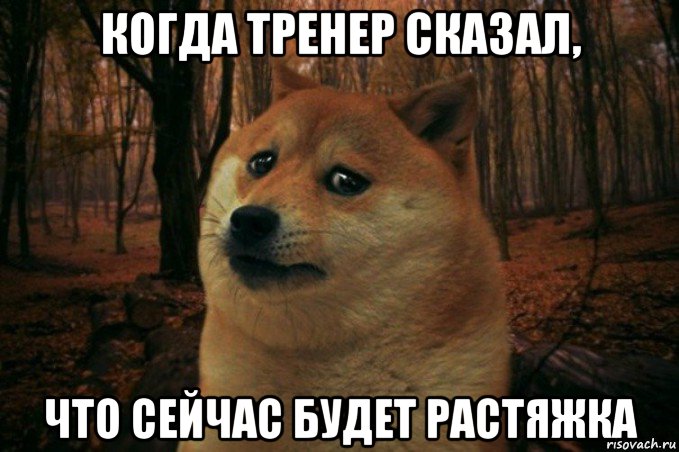 когда тренер сказал, что сейчас будет растяжка, Мем SAD DOGE