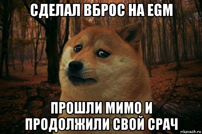 сделал вброс на egm прошли мимо и продолжили свой срач, Мем SAD DOGE