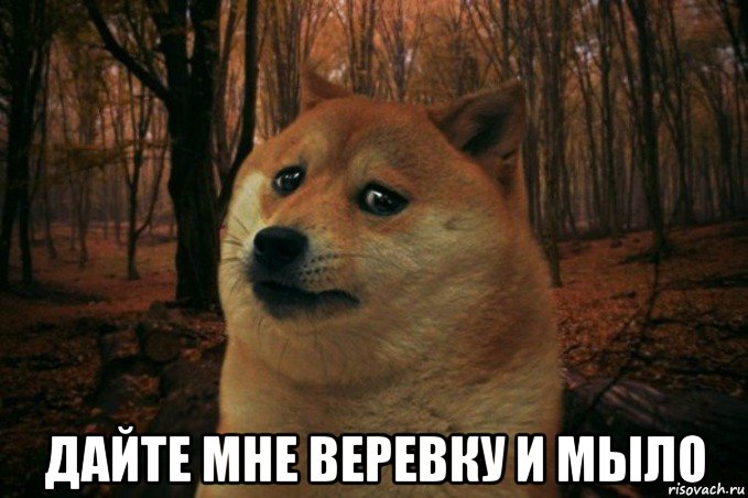  дайте мне веревку и мыло, Мем SAD DOGE