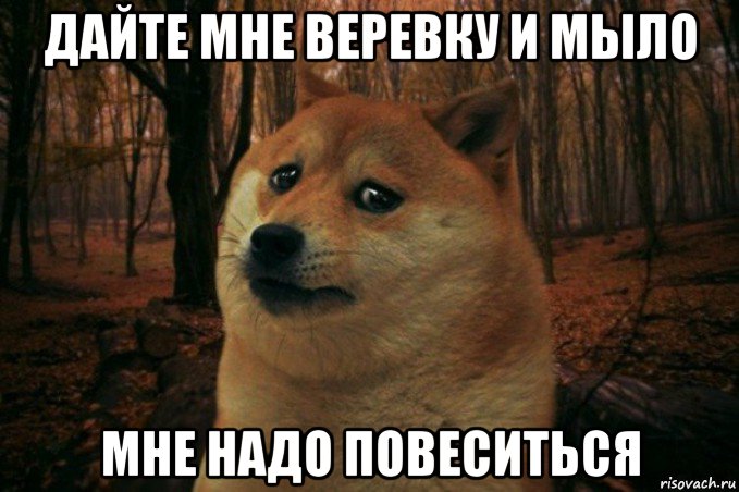 дайте мне веревку и мыло мне надо повеситься, Мем SAD DOGE