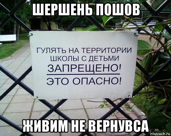 шершень пошов живим не вернувса