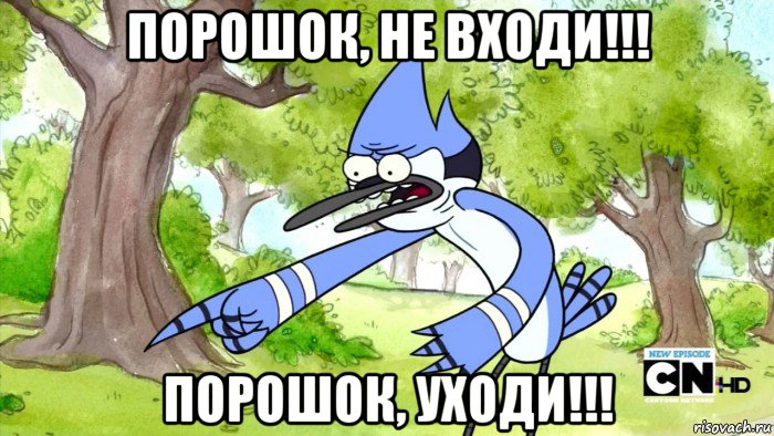 порошок, не входи!!! порошок, уходи!!!, Мем шоу