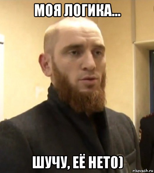 моя логика… шучу, её нет0)