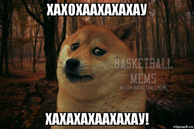 хахохаахахахау хахахахаахахау!