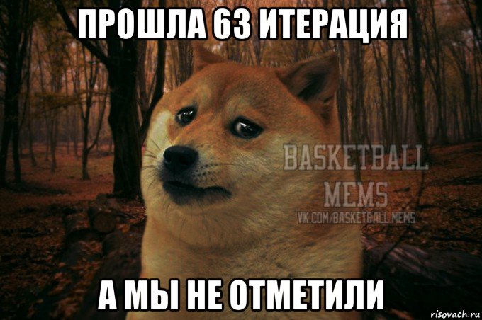 прошла 63 итерация а мы не отметили, Мем Собака Basletball Mems