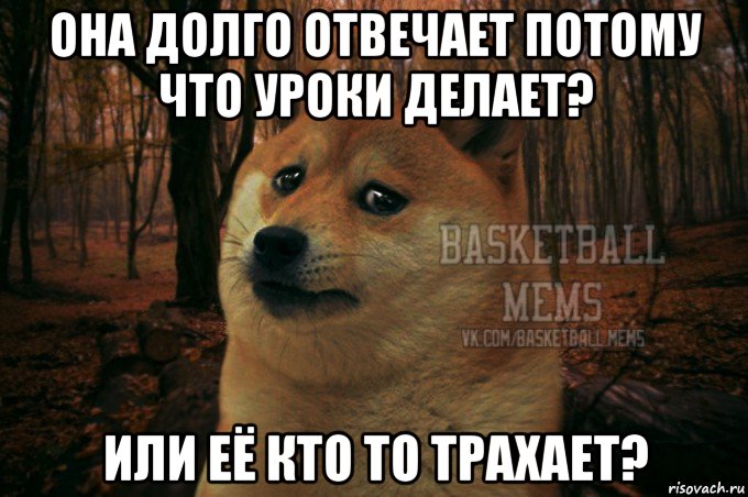 она долго отвечает потому что уроки делает? или её кто то трахает?, Мем Собака Basletball Mems