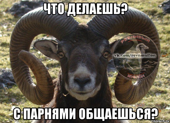 что делаешь? с парнями общаешься?