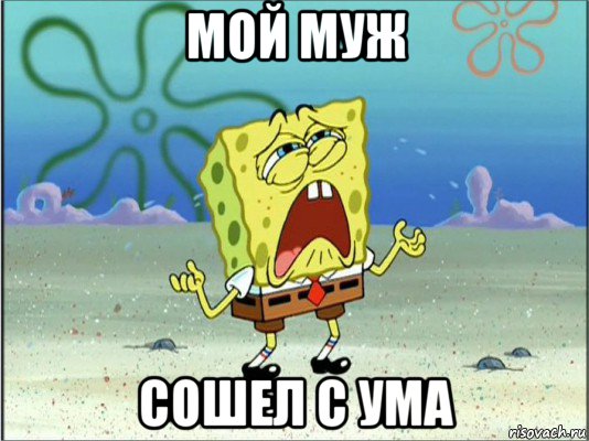 мой муж сошел с ума, Мем Спанч Боб плачет