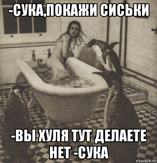 -сука,покажи сиськи -вы хуля тут делаете нет -сука, Мем Столбняк