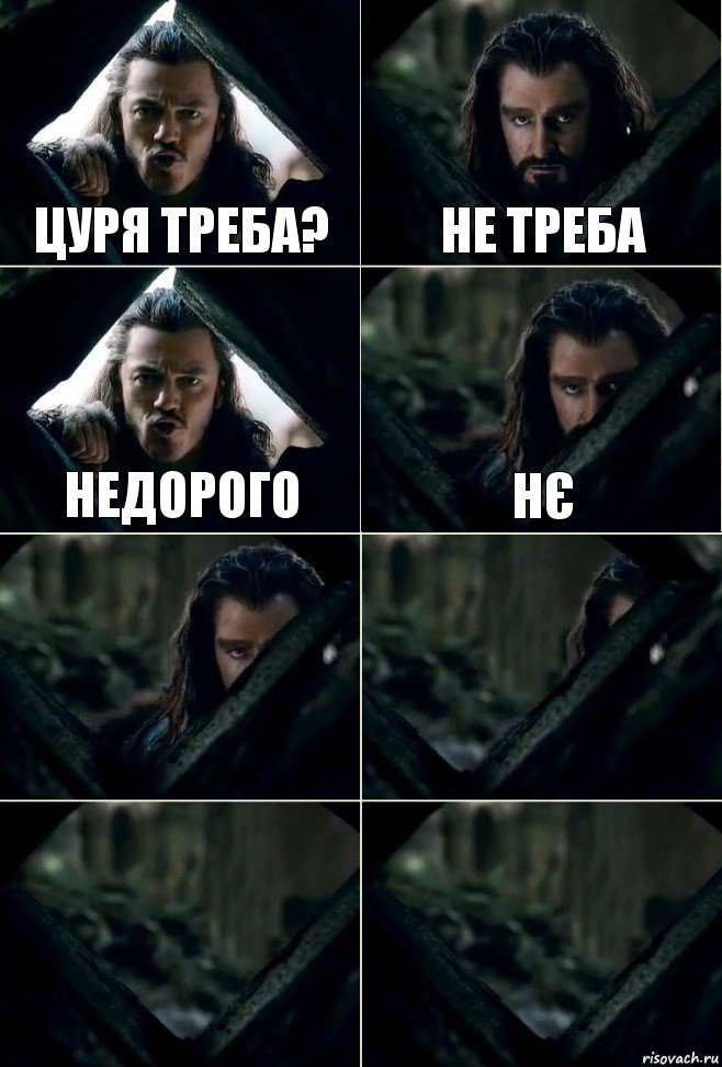 Цуря треба? Не треба Недорого Нє    