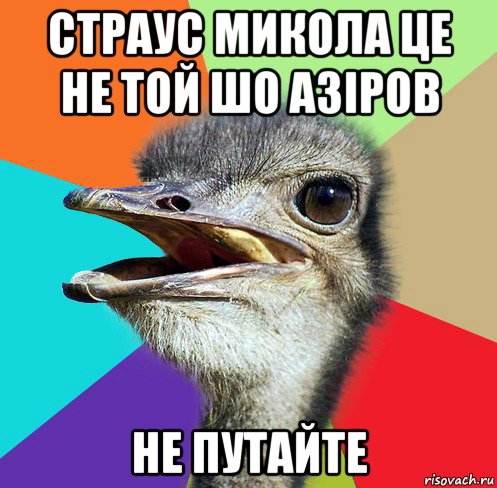 страус микола це не той шо азіров не путайте
