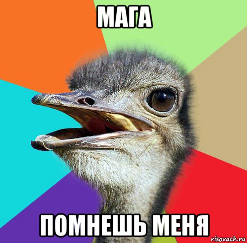 мага помнешь меня