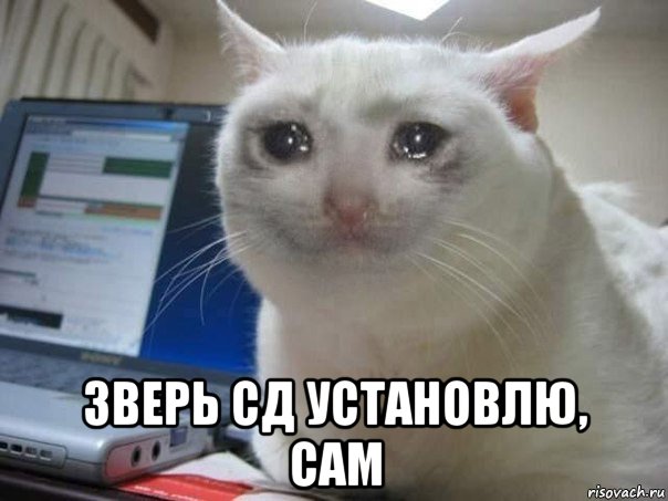  зверь сд установлю, сам