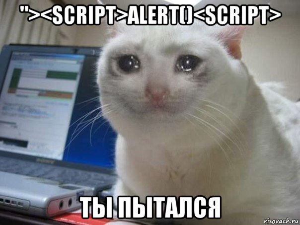 "><script>alert()<script> ты пытался