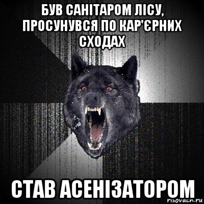 був санітаром лісу, просунувся по кар'єрних сходах став асенізатором, Мем Сумасшедший волк