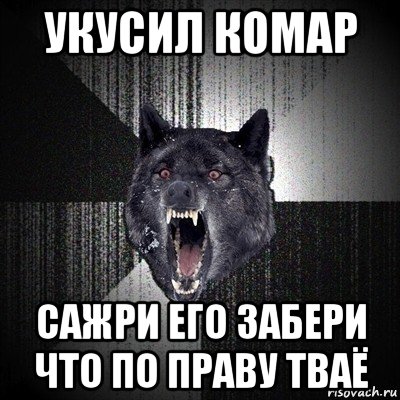 укусил комар сажри его забери что по праву тваё, Мем Сумасшедший волк