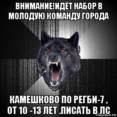 внимание!идёт набор в молодую команду города камешково по регби-7 , от 10 -13 лет .писать в лс, Мем Сумасшедший волк