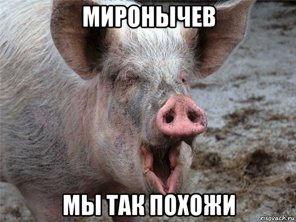 миронычев мы так похожи