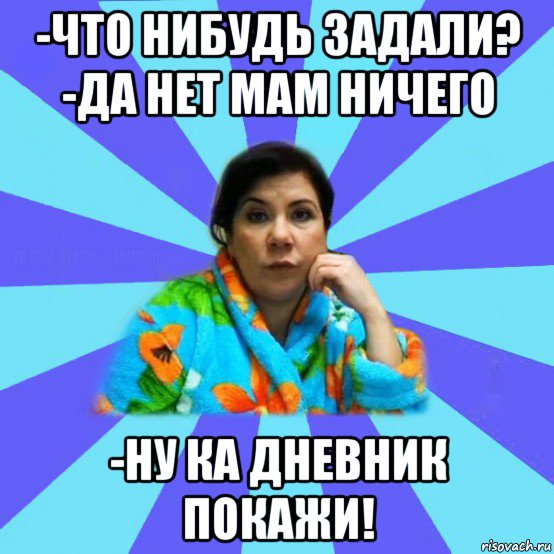 -что нибудь задали? -да нет мам ничего -ну ка дневник покажи!, Мем типичная мама