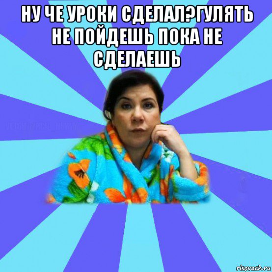 ну че уроки сделал?гулять не пойдешь пока не сделаешь , Мем типичная мама