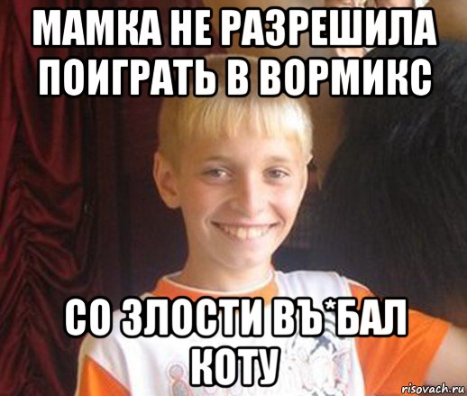 мамка не разрешила поиграть в вормикс со злости въ*бал коту, Мем Типичный школьник