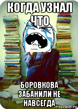 когда узнал что боровкова забанили не навсегда, Мем Типовий десятикласник