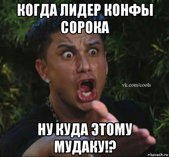 когда лидер конфы сорока ну куда этому мудаку!?