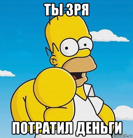 ты зря потратил деньги, Мем  Ты - лох