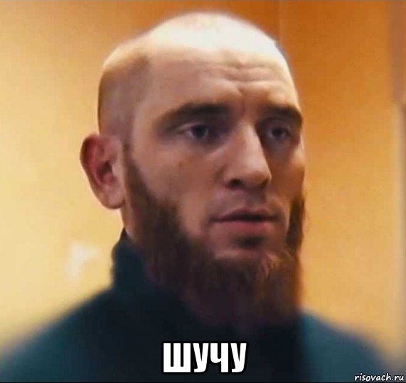  шучу, Мем Шутник