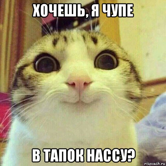 хочешь, я чупе в тапок нассу?