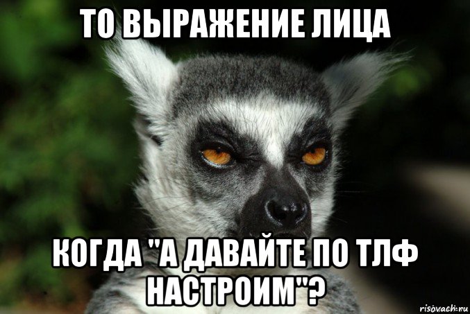 то выражение лица когда "а давайте по тлф настроим"?, Мем   Я збагоен