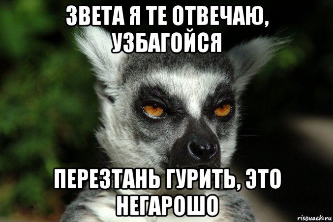 звета я те отвечаю, узбагойся перезтань гурить, это негарошо, Мем   Я збагоен