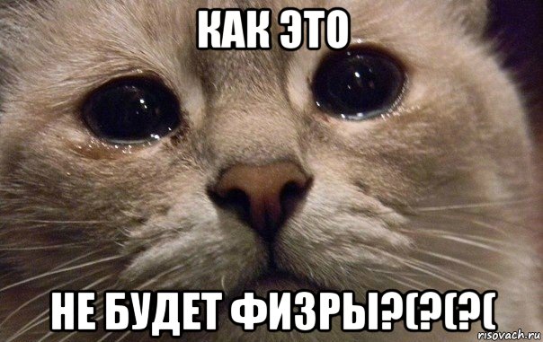 как это не будет физры?(?(?(, Мем   В мире грустит один котик