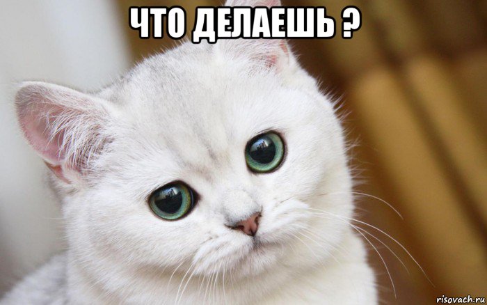 что делаешь ? 