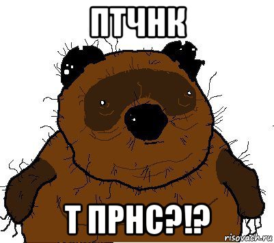 птчнк т прнс?!?, Мем  Винни збс