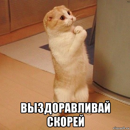 http://risovach.ru/upload/2015/02/mem/vyzdoravlivay_73933559_orig_.jpg