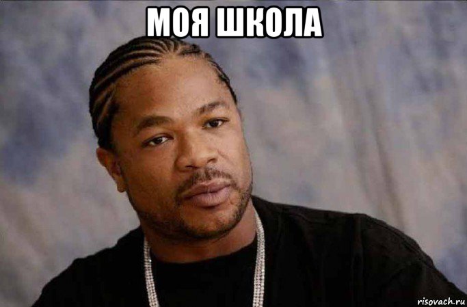 моя школа , Мем Xzibit in Grove